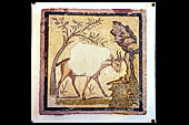 Agrigento - La valle dei templi. Museo Archeologico. emblemata musivo staccato dai pavimenti del quartiere ellenistico-romano. Gazzella alla fonte. 